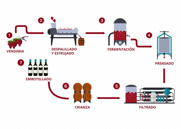 prensas neumaticas para vino